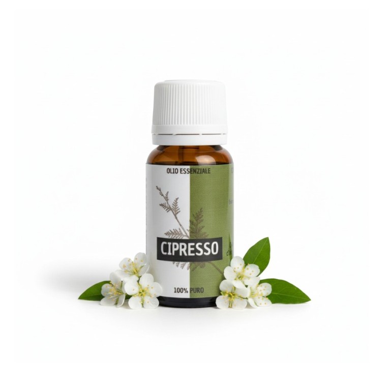 O.E. cipresso