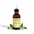 Olio all'arnica 1