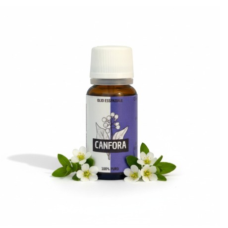 Olio essenziale di canfora