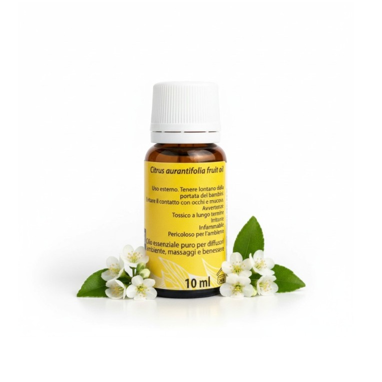 O.E. cedro frutti dietro