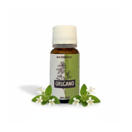 Olio essenziale di origano