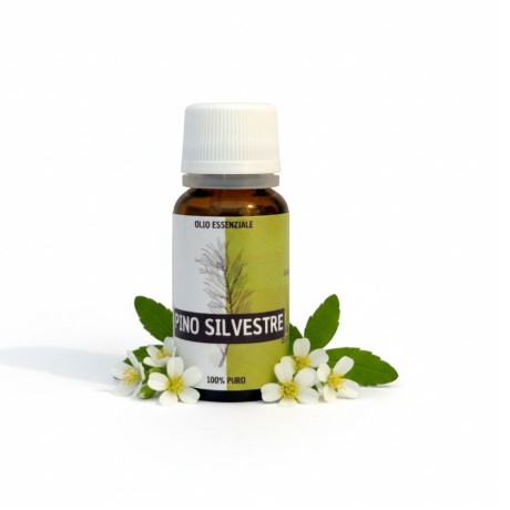 Olio essenziale di pino silvestre