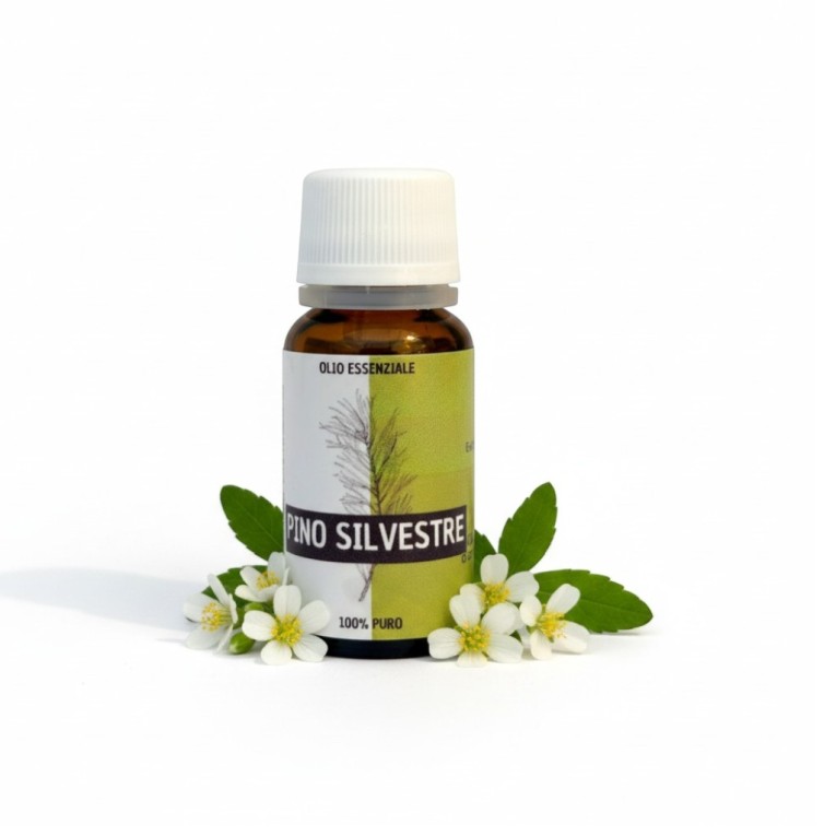 O.E. pino silvestre