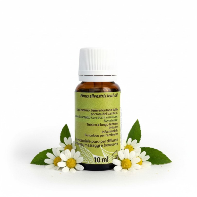 O.E. pino silvestre dietro