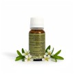 O.E. tea tree oil dietro