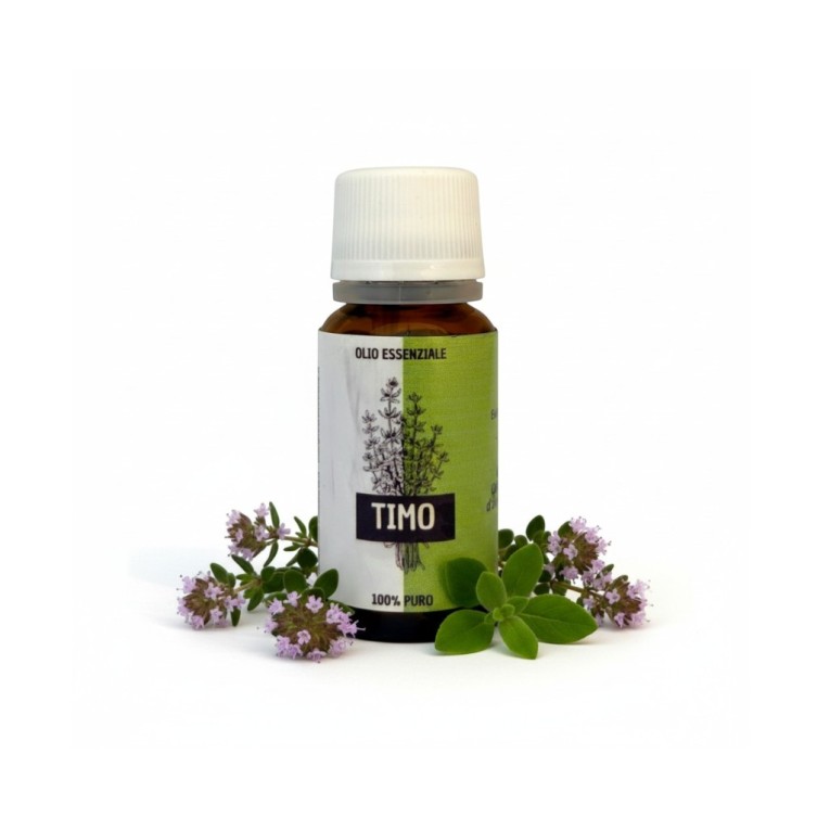 O.E. timo