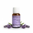 Olio essenziale lavanda dietro