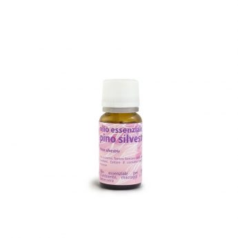 Scots pine essential oil