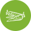 Precursori BIO