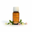 Fragranza frankincense dietro