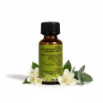 Olio essenziale vetyver dietro