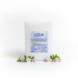 Lisciva